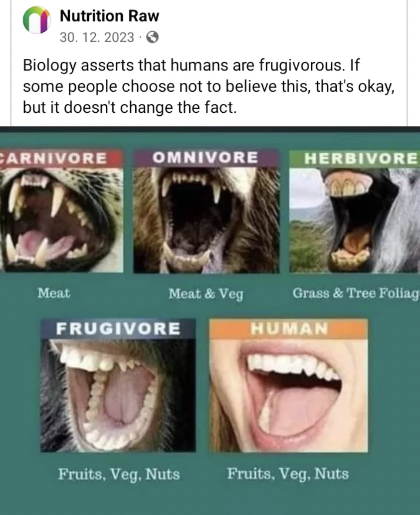 meat eater teeth - Nutrition Raw 30. 12. 2023 Biology asserts that humans are frugivorous. If some people choose not to believe this, that's okay, but it doesn't change the fact. Carnivore Meat Omnivore Meat & Veg Frugivore Fruits, Veg. Nuts Herbivore Gra