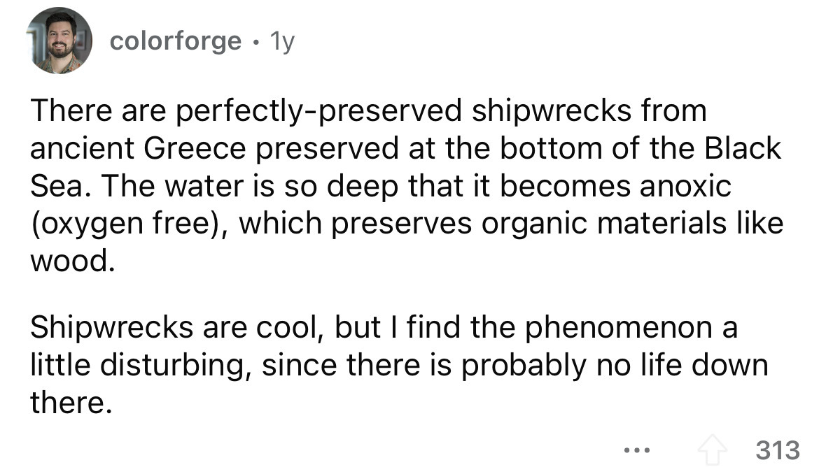 angle - colorforge 1y There are perfectlypreserved shipwrecks from ancient Greece preserved at the bottom of the Black Sea. The water is so deep that it becomes anoxic oxygen free, which preserves organic materials wood. Shipwrecks are cool, but I find th