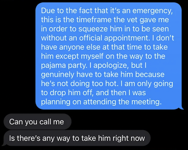 atmosphere - Due to the fact that it's an emergency, this is the timeframe the vet gave me in order to squeeze him in to be seen without an official appointment. I don't have anyone else at that time to take him except myself on the way to the pajama part