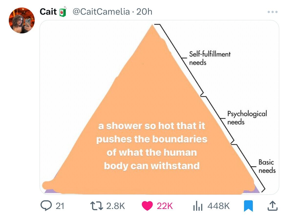 maslow's hierarchy of needs soup - Cait 21 20h Selffulfillment needs a shower so hot that it pushes the boundaries of what the human body can withstand Psychological needs 22K il Basic needs