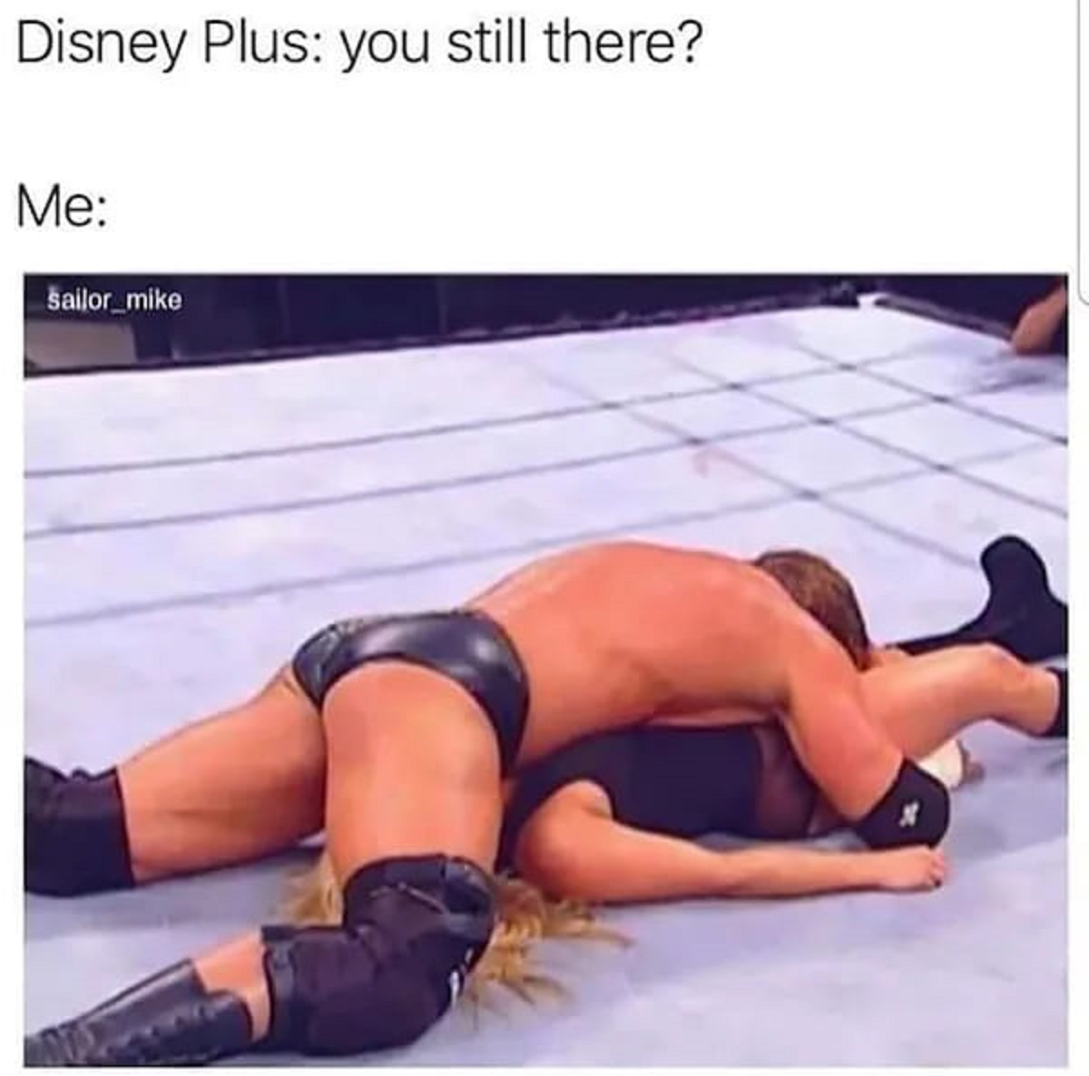 spicy memes -  thigh - Disney Plus you still there? Me sailor_mike