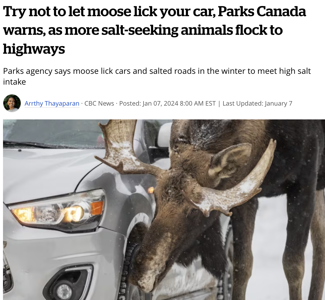 car - Try not to let moose lick your car, Parks Canada warns, as more saltseeking animals flock to highways Parks agency says moose lick cars and salted roads in the winter to meet high salt intake Arrthy Thayaparan Cbc News Posted Est | Last Updated Janu