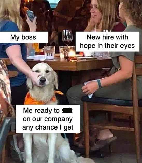 shut dog meme - My boss Me ready to on our company any chance I get New hire with hope in their eyes