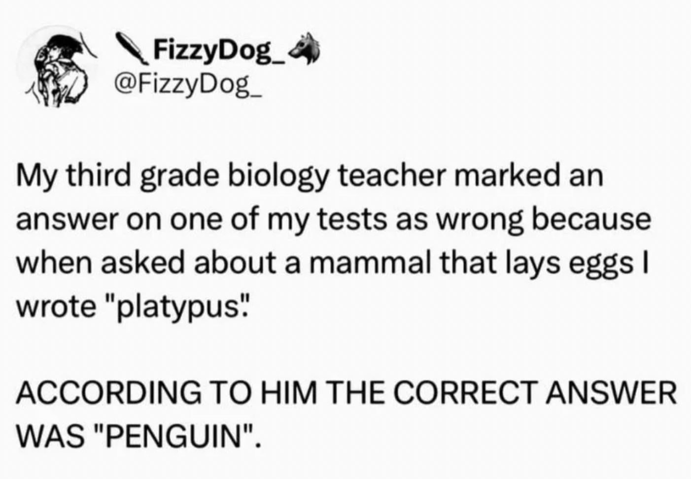 paper - FizzyDog_ My third grade biology teacher marked an answer on one of my tests as wrong because when asked about a mammal that lays eggs I wrote "platypus! According To Him The Correct Answer Was "Penguin".