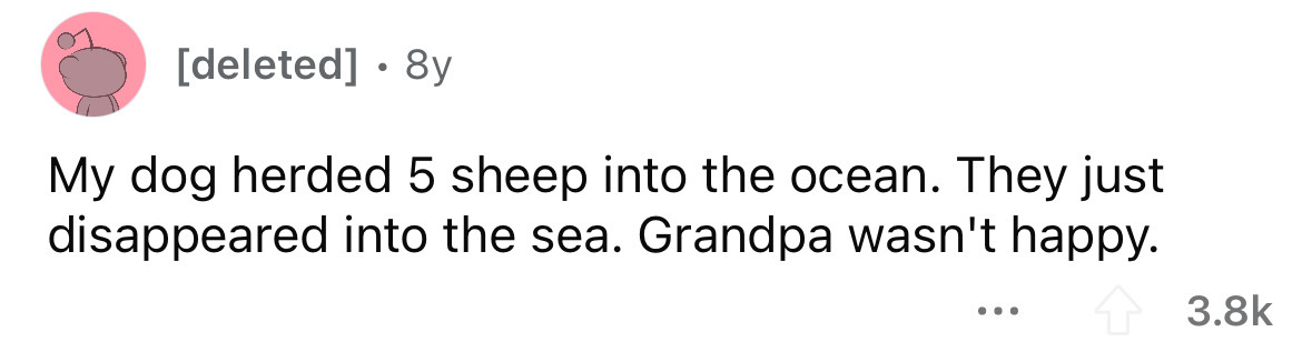 deleted 8y My dog herded 5 sheep into the ocean. They just disappeared into the sea. Grandpa wasn't happy.
