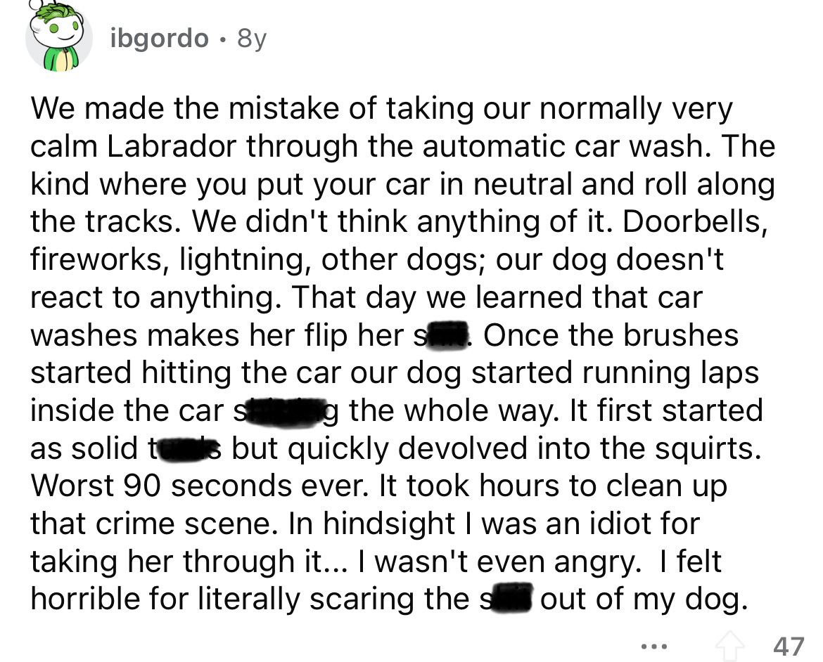 document - ibgordo . 8y We made the mistake of taking our normally very calm Labrador through the automatic car wash. The kind where you put your car in neutral and roll along the tracks. We didn't think anything of it. Doorbells, fireworks, lightning, ot