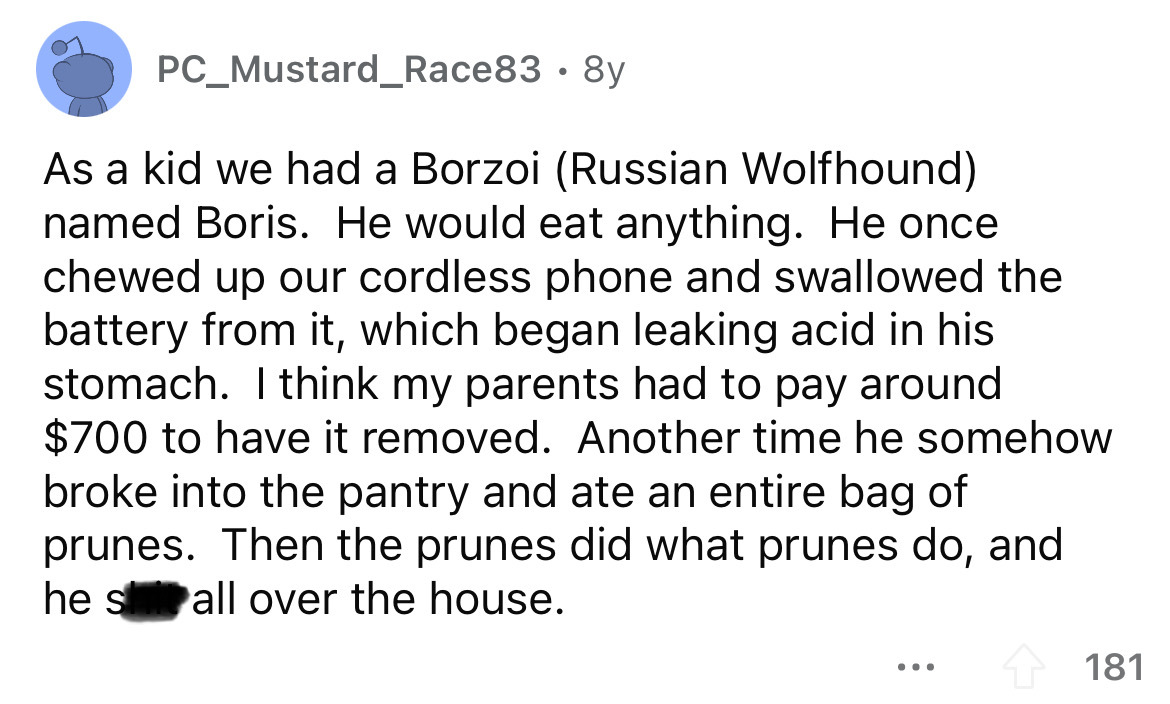 angle - PC_Mustard_Race83. 8y As a kid we had a Borzoi Russian Wolfhound named Boris. He would eat anything. He once chewed up our cordless phone and swallowed the battery from it, which began leaking acid in his stomach. I think my parents had to pay aro
