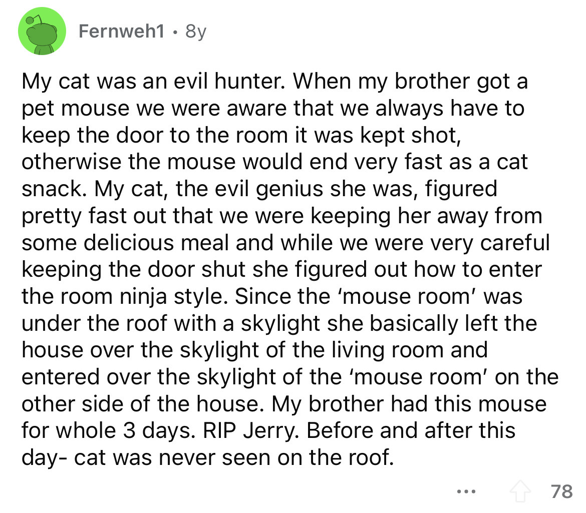 angle - Fernweh1 8y My cat was an evil hunter. When my brother got a pet mouse we were aware that we always have to keep the door to the room it was kept shot, otherwise the mouse would end very fast as a cat snack. My cat, the evil genius she was, figure