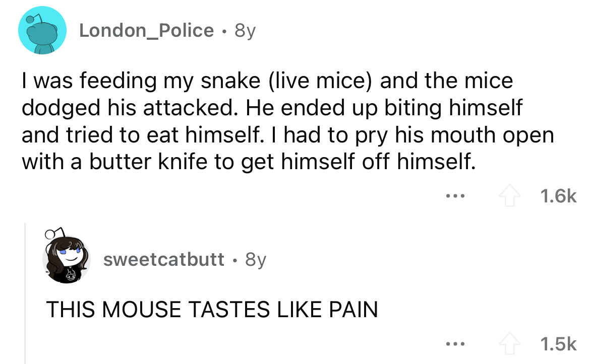 angle - London_Police . 8y I was feeding my snake live mice and the mice dodged his attacked. He ended up biting himself and tried to eat himself. I had to pry his mouth open with a butter knife to get himself off himself. sweetcatbutt 8y This Mouse Taste