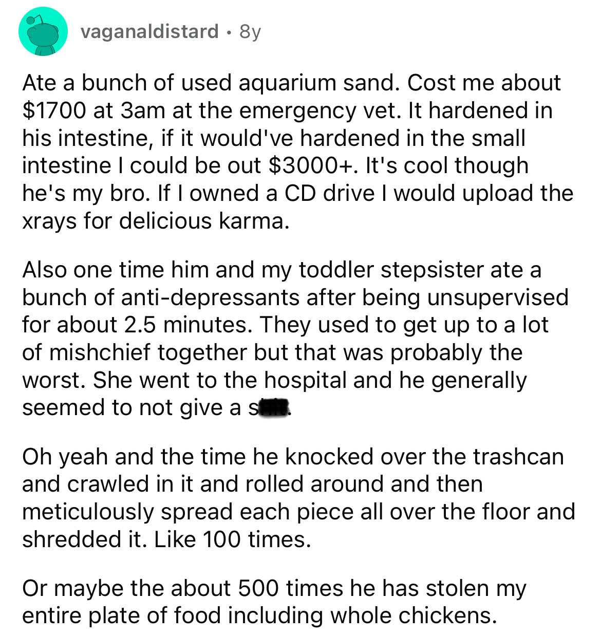 document - vaganaldistard . 8y Ate a bunch of used aquarium sand. Cost me about $1700 at 3am at the emergency vet. It hardened in his intestine, if it would've hardened in the small intestine I could be out $3000. It's cool though he's my bro. If I owned 