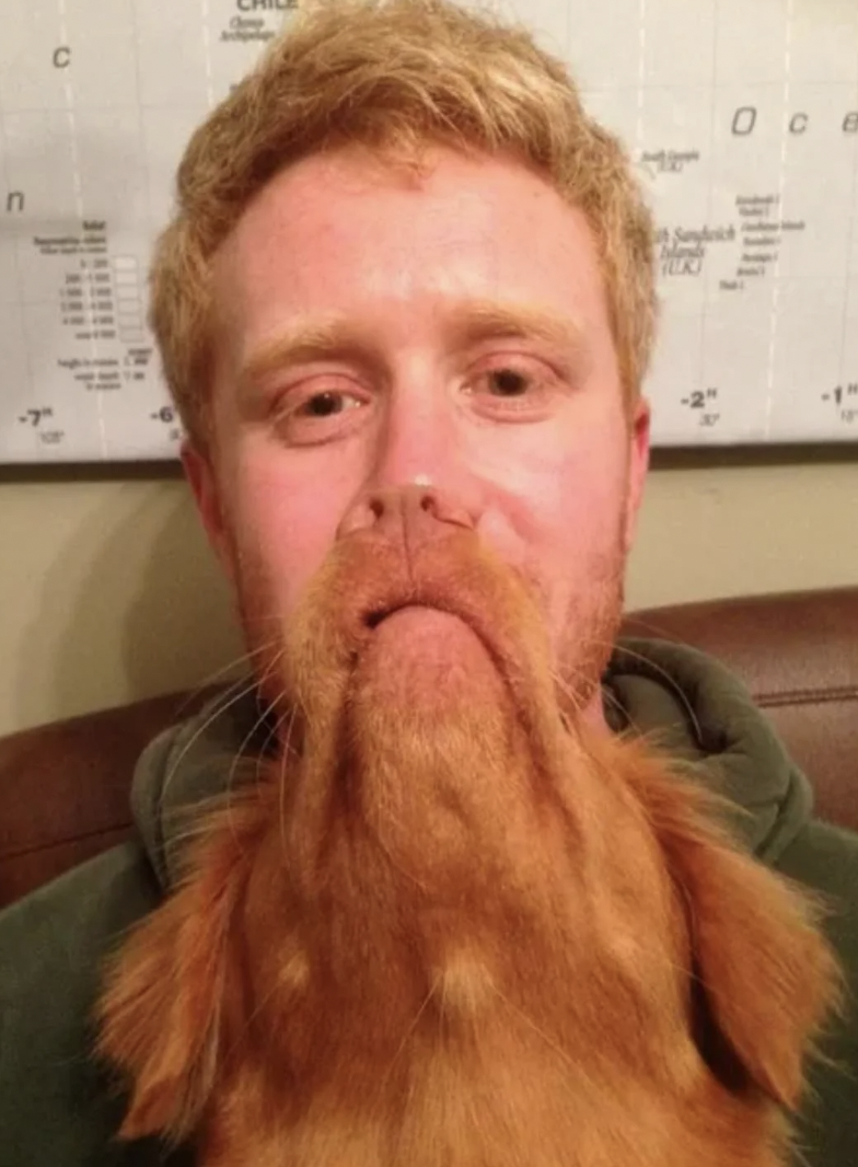 beard dog optical illusion - D ce