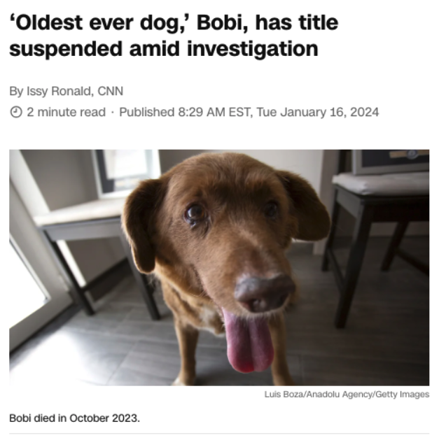 19 of the Oddest Headlines of the Week 