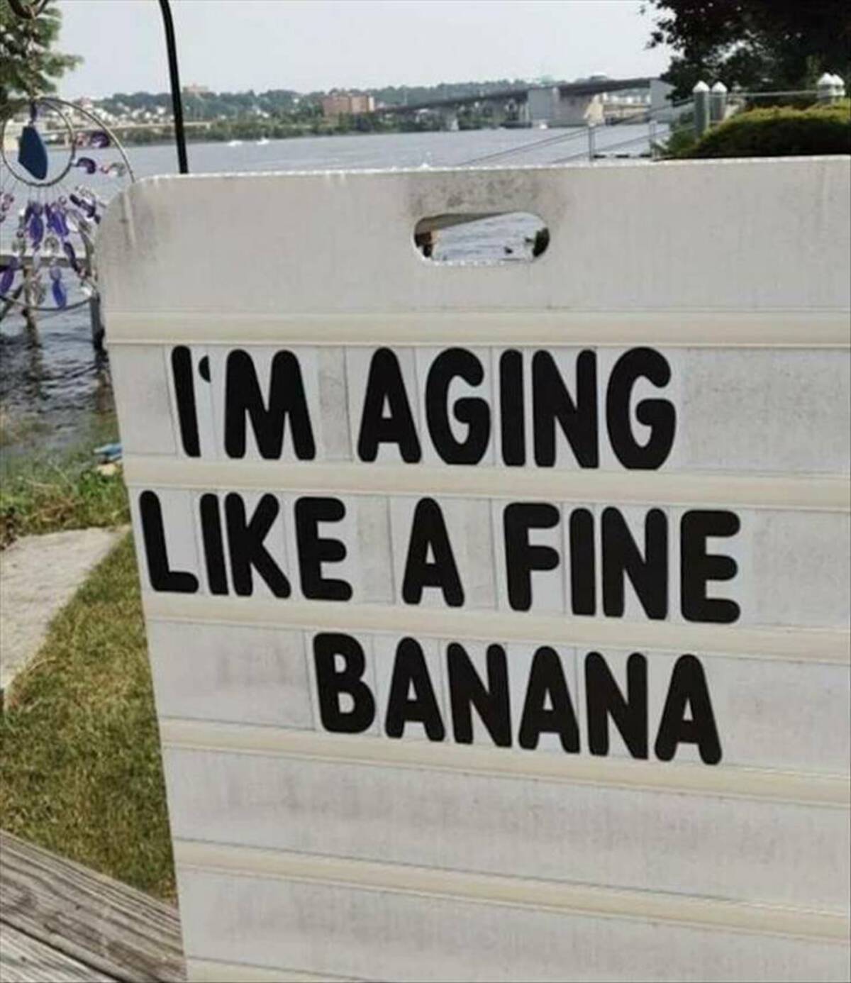 signage - I'M Aging A Fine Banana