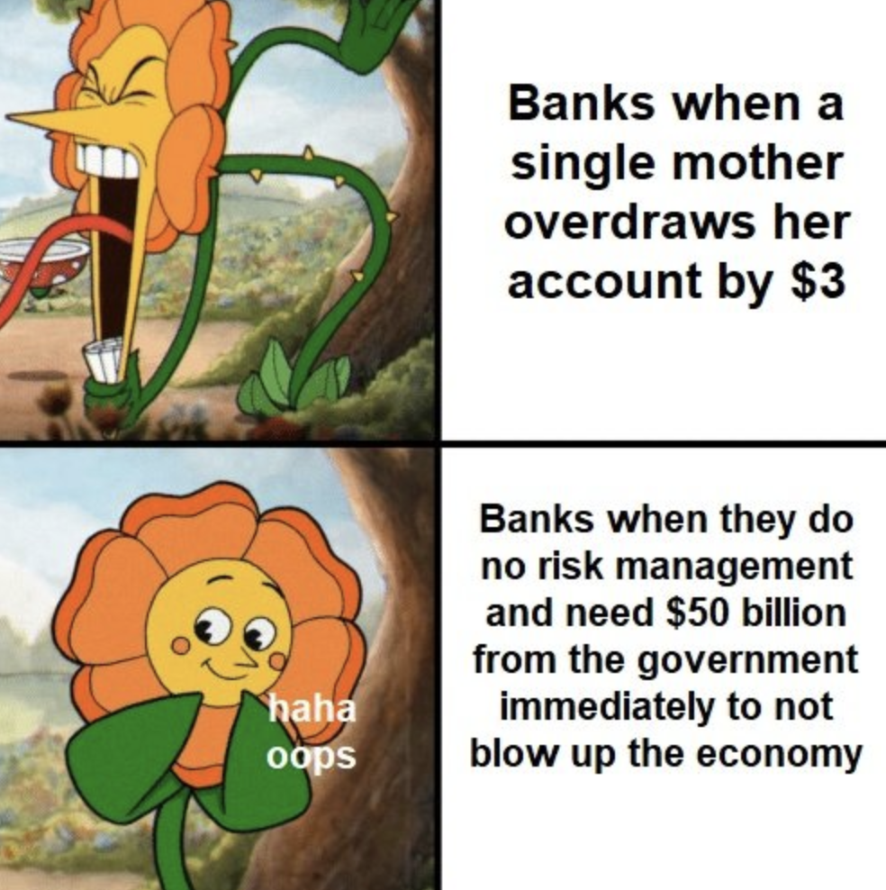 banks when a single mother overdrawn - haha oops Banks when a single mother overdraws her account by $3 Banks when they do no risk management and need $50 billion from the government immediately to not blow up the economy