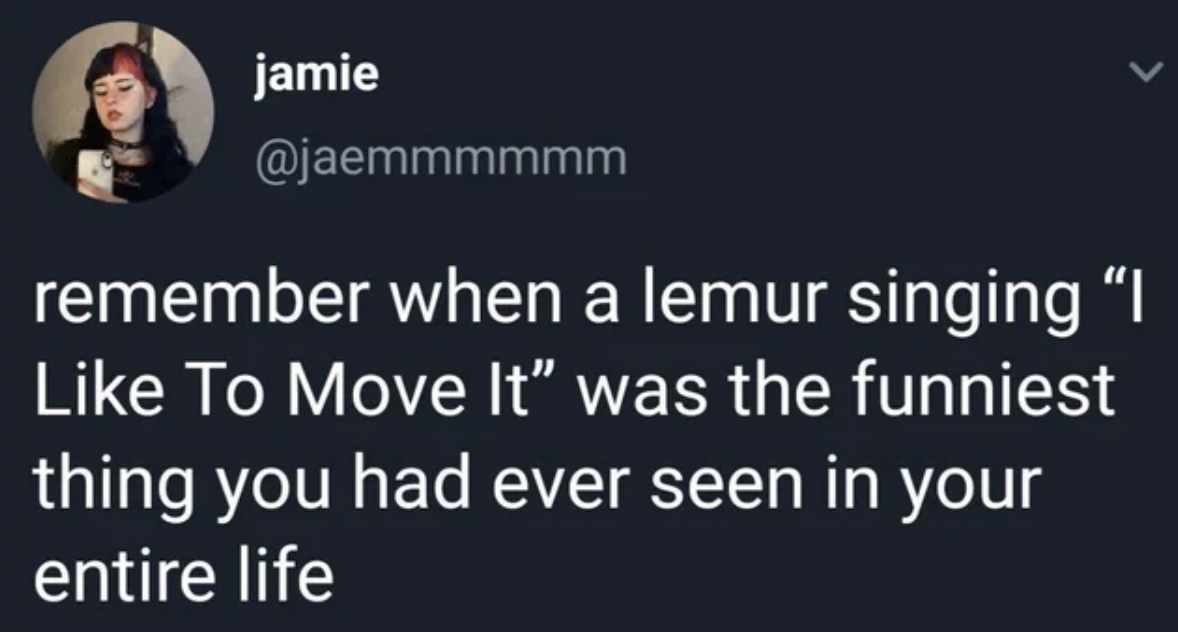 presentation - jamie remember when a lemur singing