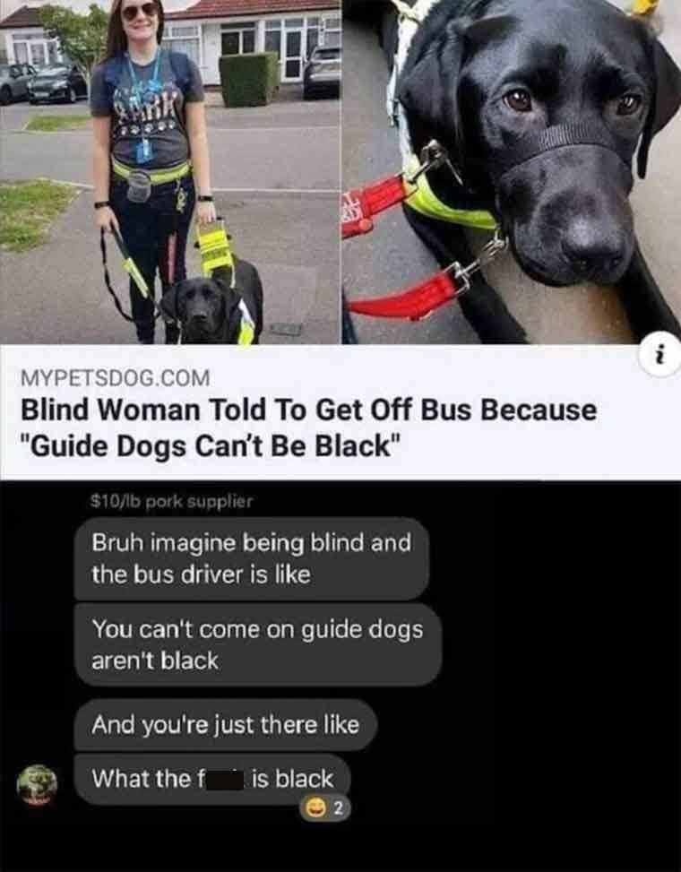 photo caption - 7 Mypetsdog.Com Blind Woman Told To Get Off Bus Because