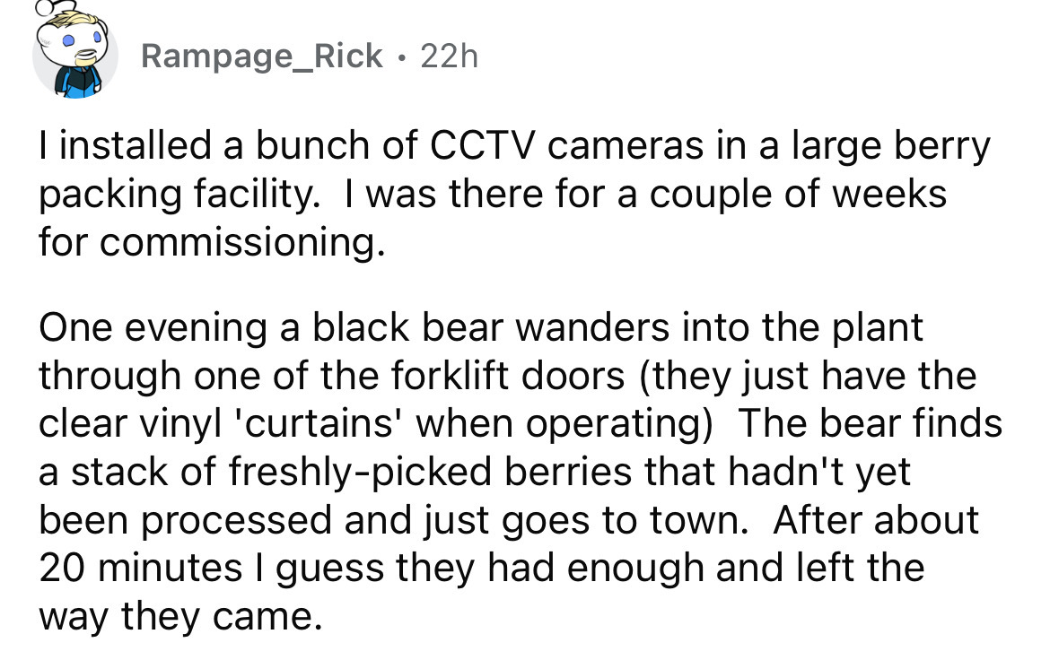 angle - Rampage_Rick I installed a bunch of Cctv cameras in a large berry packing facility. I was there for a couple of weeks for commissioning. 22h One evening a black bear wanders into the plant through one of the forklift doors they just have the clear