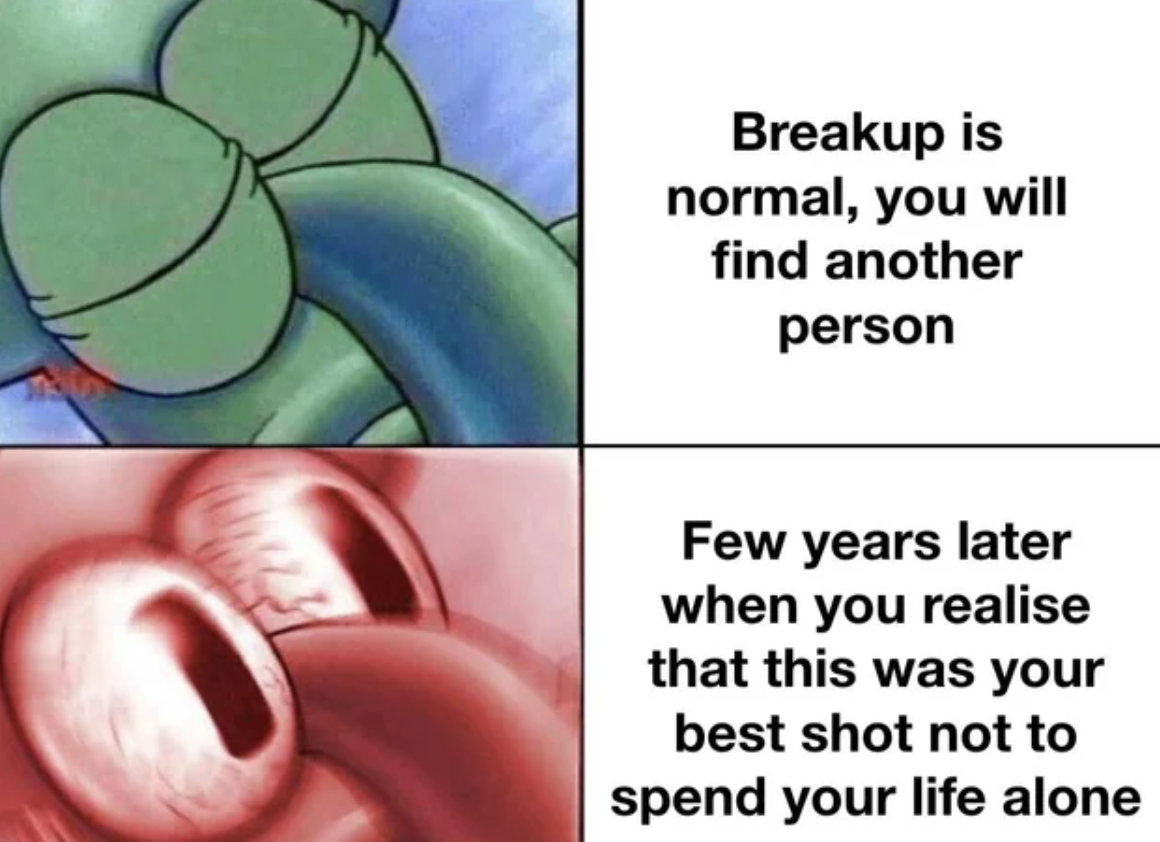 squidward sleeping meme template - Breakup is normal, you will find another person Few years later when you realise that this was your best shot not to spend your life alone