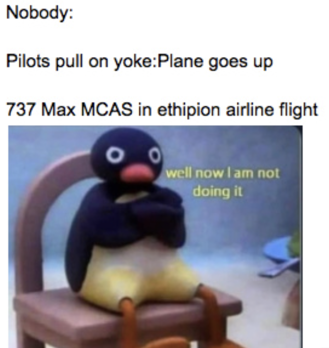 penguin - Nobody Pilots pull on yokePlane goes up 737 Max Mcas in ethipion airline flight well now I am not doing it