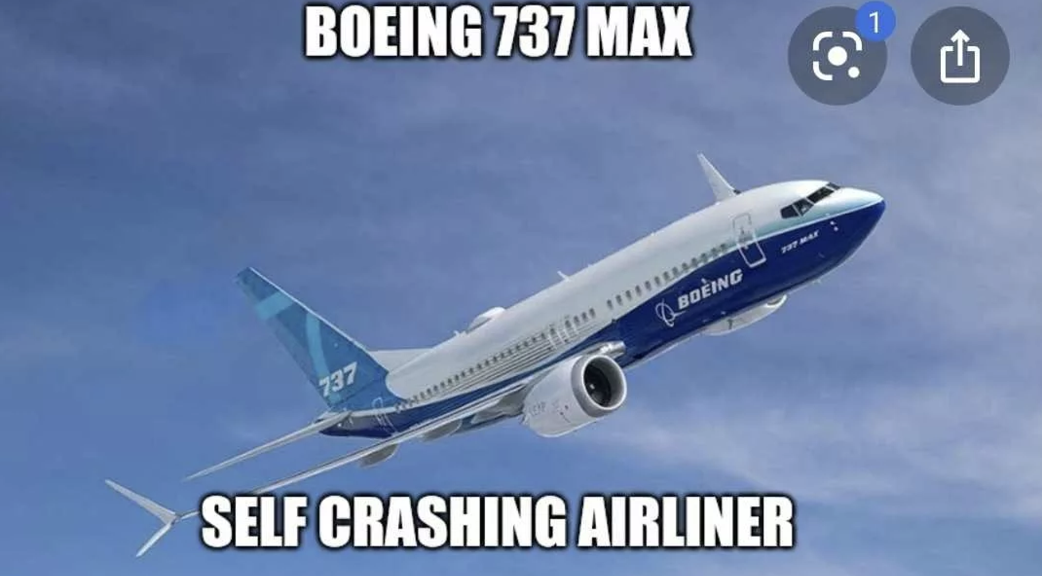 b737 max boeing - Boeing 737 Max 737 Boeing Self Crashing Airliner 1