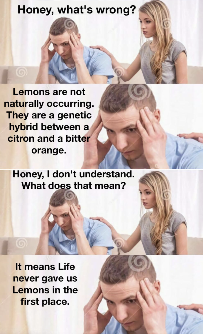 shoulder - Honey, what's wrong? Lemons are not naturally occurring. They are a genetic hybrid between a citron and a bitter orange. Honey, I don't understand. What does that mean? It means Life never gave us Lemons in the first place.