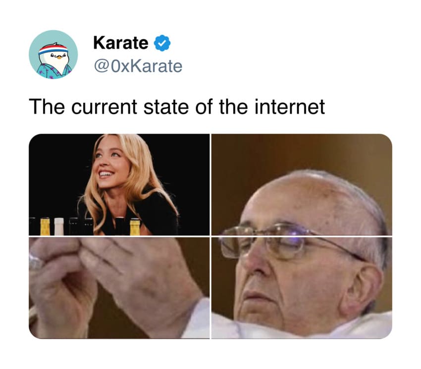 pop tart mascot meme - Karate The current state of the internet