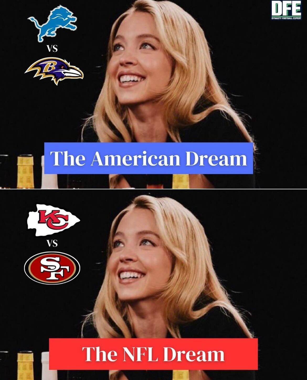 ravens bird - Ya Vs The American Dream Vs St The Nfl Dream Ofe Dynasty Football Expert