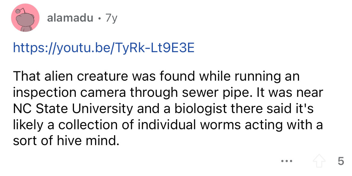 angle - alamadu 7y That alien creature was found while running an inspection camera through sewer pipe. It was near Nc State University and a biologist there said it's ly a collection of individual worms acting with a sort of hive mind. ... 45