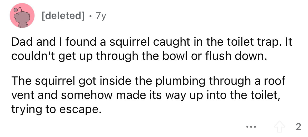 document - deleted 7y Dad and I found a squirrel caught in the toilet trap. It couldn't get up through the bowl or flush down. The squirrel got inside the plumbing through a roof vent and somehow made its way up into the toilet, trying to escape. ... 2