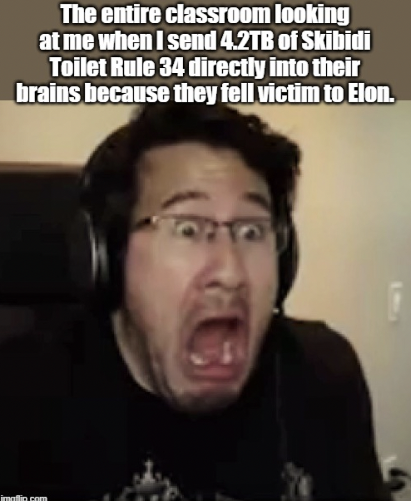 markiplier screaming - The entire classroom looking at me when I send 4.2TB of Skibidi Toilet Rule 34 directly into their brains because they fell victim to Elon. imuttin.com