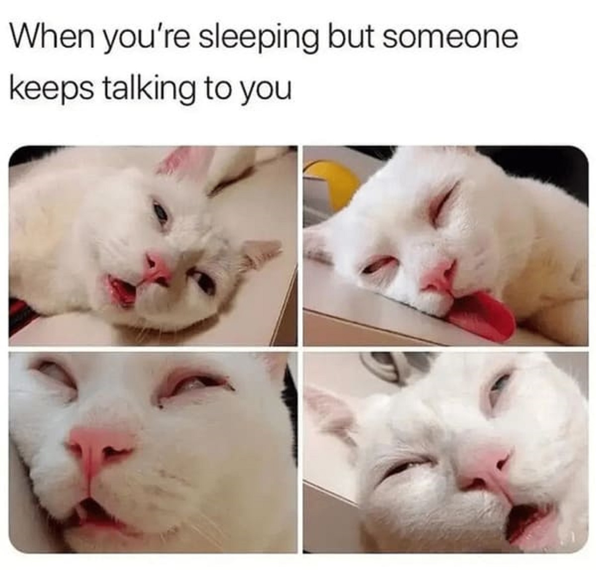 your sleeping but someone keeps talking - When you're sleeping but someone keeps talking to you