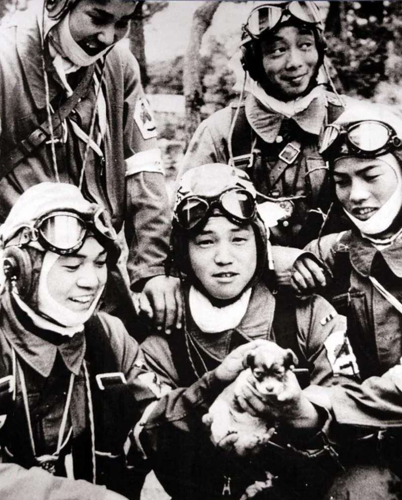 kamikaze pilots with puppy