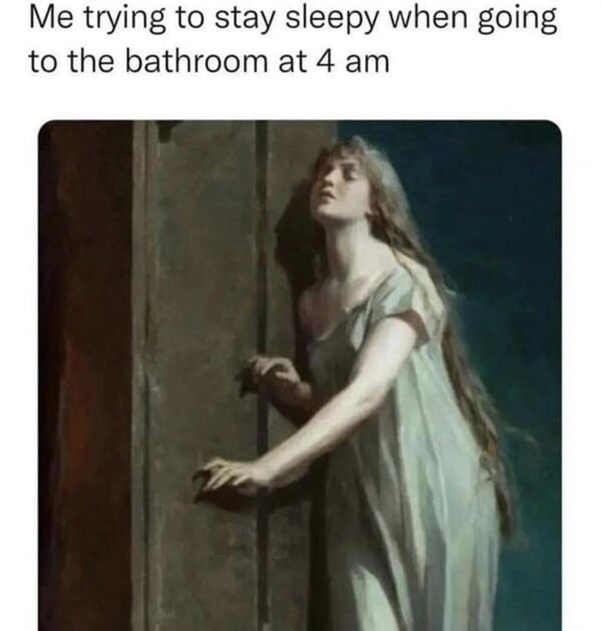 maximilian pirner sleepwalker - Me trying to stay sleepy when going to the bathroom at 4 am