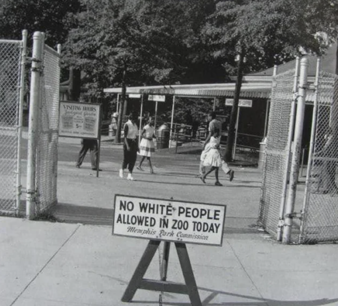 ernest withers - Vining Burs No White People Allowed In Zoo Today Memphis Park Commission