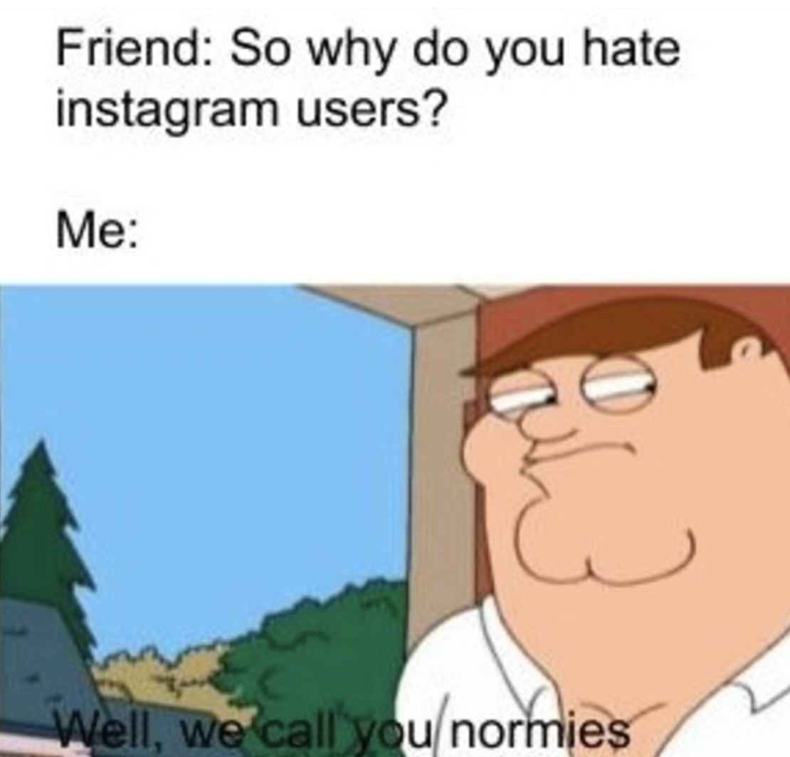 cartoon - Friend So why do you hate instagram users? Me Well, we call younormies