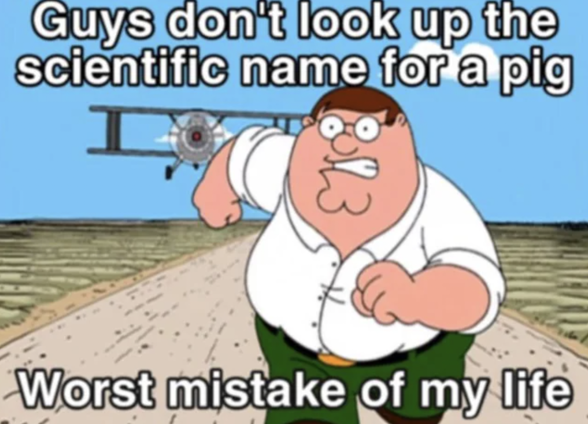 cartoon - Guys don't look up the scientific name for a pig I 3123 Worst mistake of my life