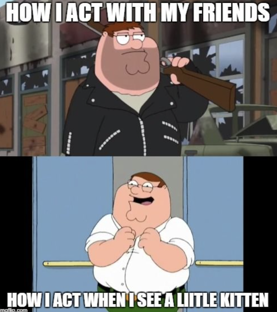family guy memes peter - How I Act With My Friends Zanony How I Act When I See A Liitle Kitten matko.com