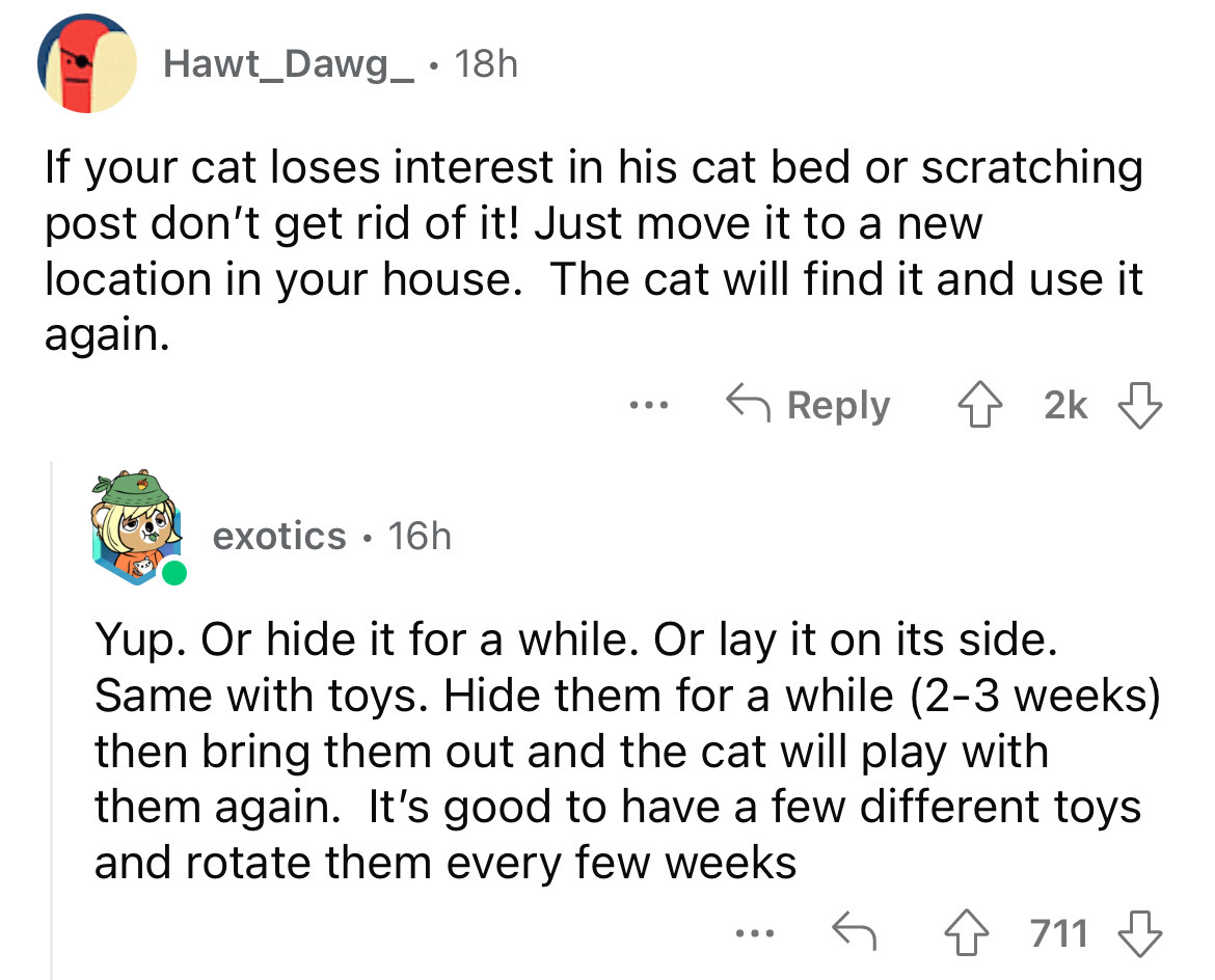 angle - Hawt_Dawg_ 18h If your cat loses interest in his cat bed or scratching post don't get rid of it! Just move it to a new location in your house. The cat will find it and use it again. 42k exotics 16h ... Yup. Or hide it for a while. Or lay it on its