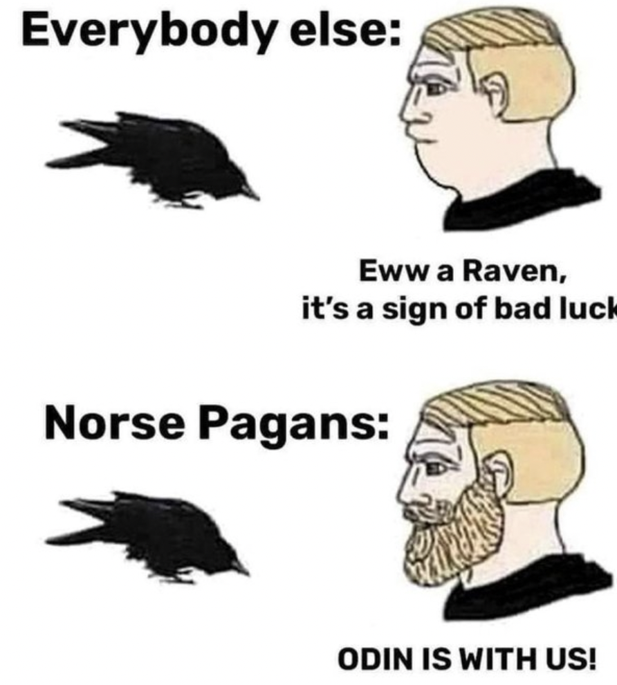 fauna - Everybody else Eww a Raven, it's a sign of bad luck Norse Pagans Odin Is With Us!