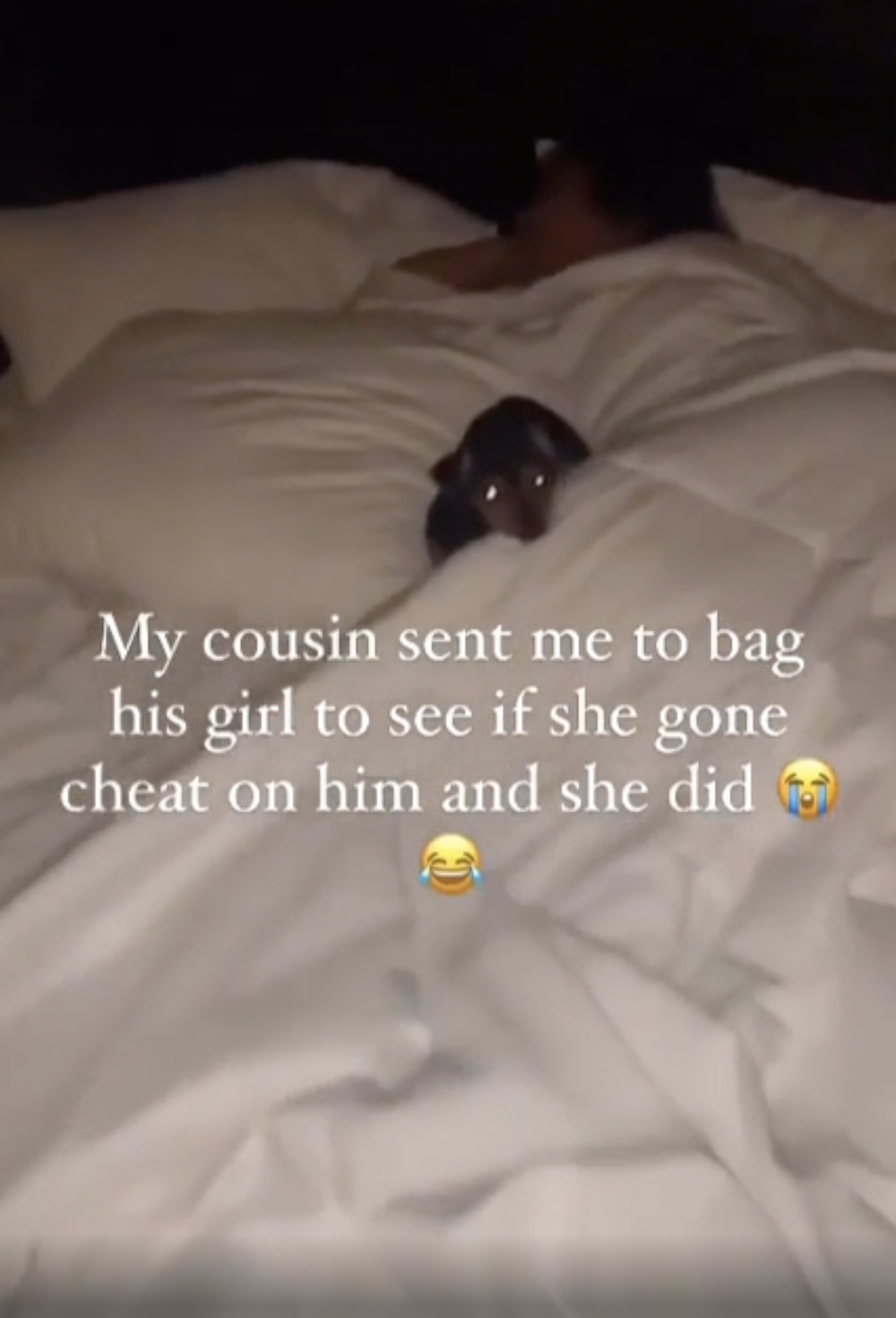 light - My cousin sent me to bag his girl to see if she gone cheat on him and she did