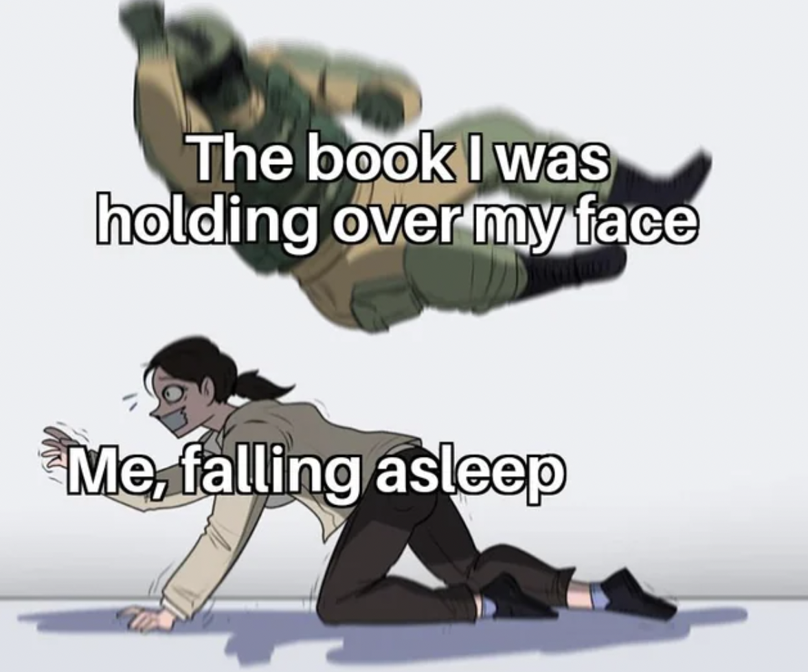 cartoon - The book I was holding over my face Me, falling asleep