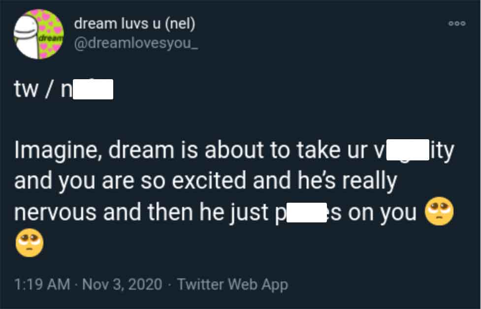 screenshot - dream twn dream luvs u nel Imagine, dream is about to take ur v and you are so excited and he's really nervous and then he just p s on you Twitter Web App 000