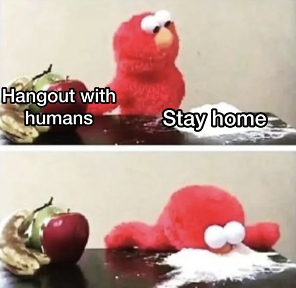 stuffed toy - Hangout with humans Stay home