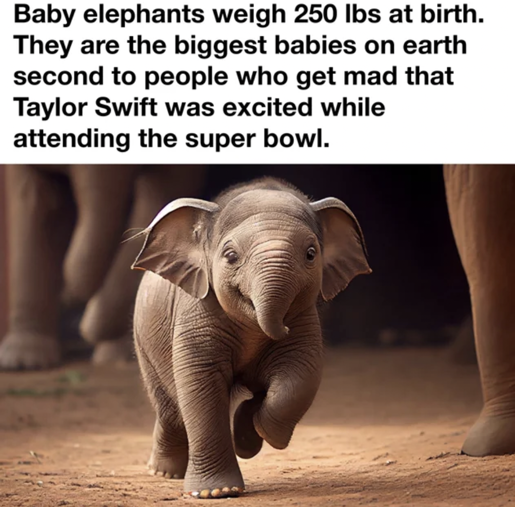 elephant baby name - Baby elephants weigh 250 lbs at birth. They are the biggest babies on earth second to people who get mad that Taylor Swift was excited while attending the super bowl.