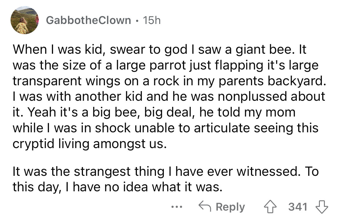 angle - GabbotheClown 15h When I was kid, swear to god I saw a giant bee. It was the size of a large parrot just flapping it's large transparent wings on a rock in my parents backyard. I was with another kid and he was nonplussed about it. Yeah it's a big