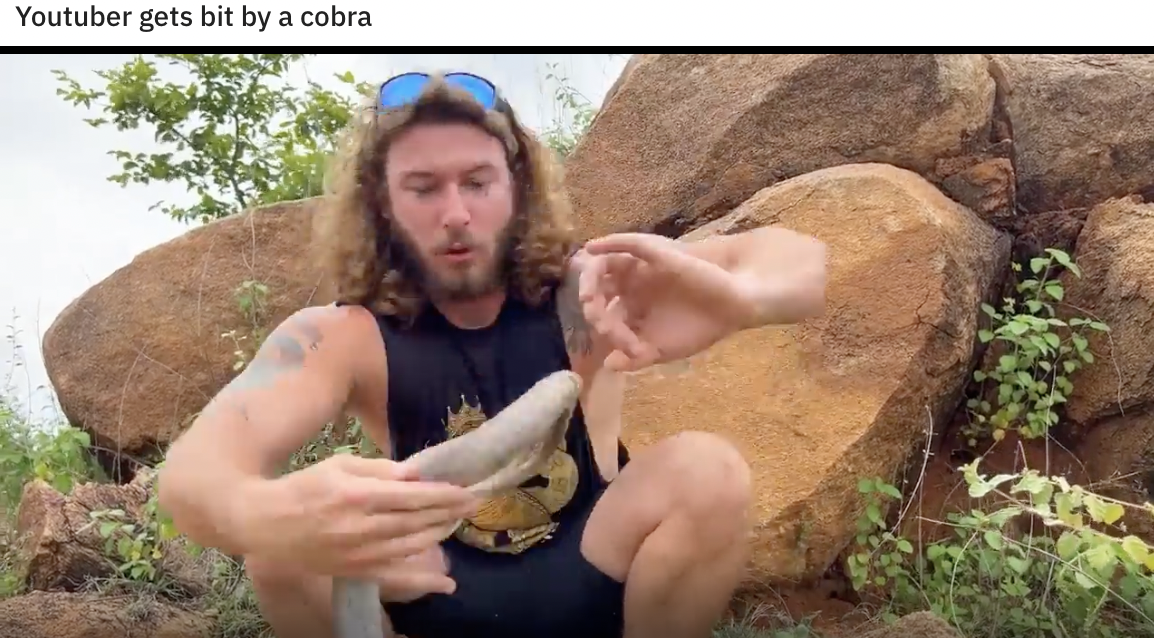 rock - Youtuber gets bit by a cobra