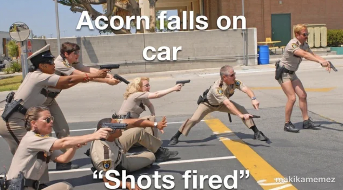 car - Acorn falls on car "Shots fired" makikamemez