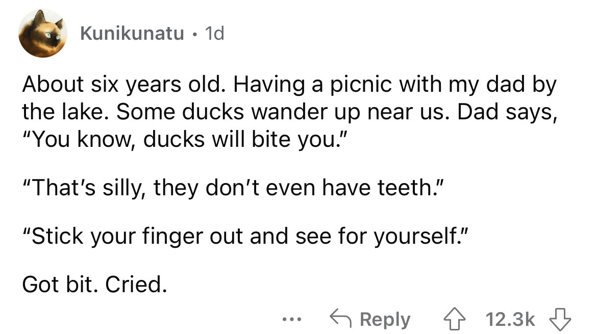 angle - Kunikunatu 1d About six years old. Having a picnic with my dad by the lake. Some ducks wander up near us. Dad says, "You know, ducks will bite you." "That's silly, they don't even have teeth." "Stick your finger out and see for yourself." Got bit.