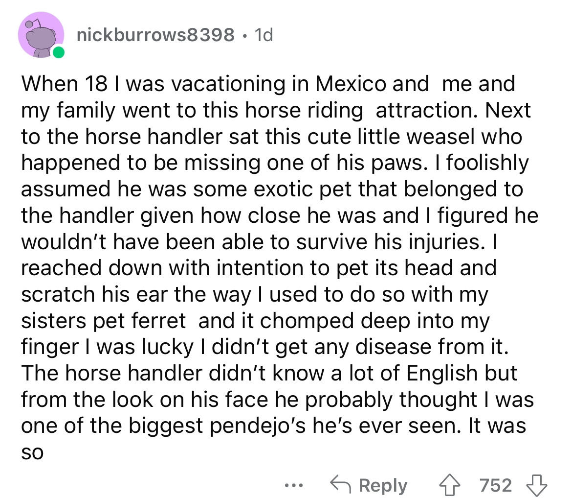 angle - nickburrows8398. 1d When 18 I was vacationing in Mexico and me and my family went to this horse riding attraction. Next to the horse handler sat this cute little weasel who happened to be missing one of his paws. I foolishly assumed he was some ex