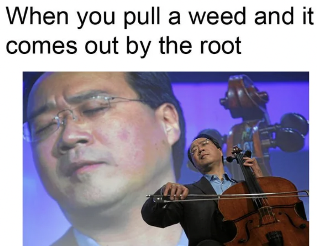 music - When you pull a weed and it comes out by the root